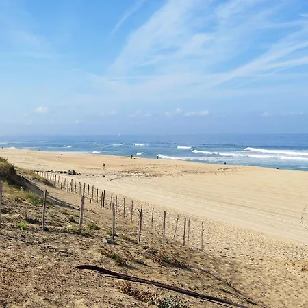 La Plage By Interhome * Seignosse